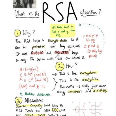 RSAposter