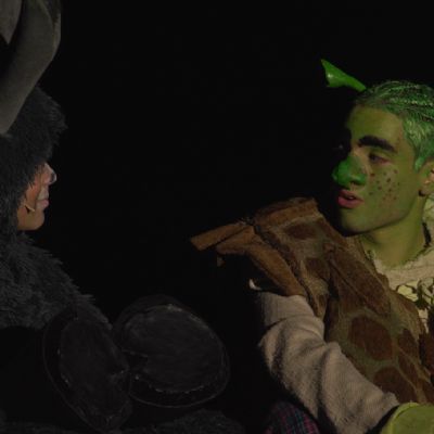 ShrekStill001